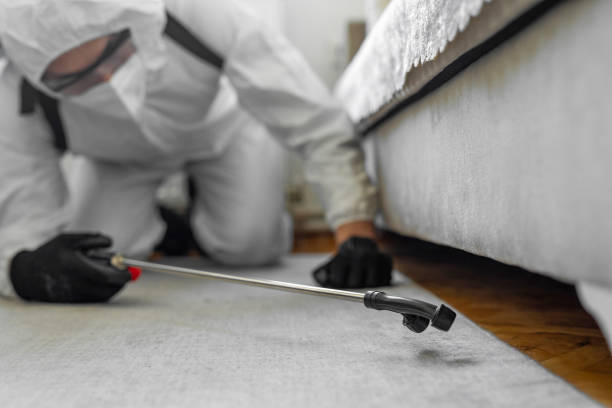 Professional Termite Control technician working in Dovesville, SC