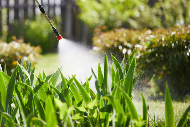 24/7 Emergency Termite Control experts in Dovesville, SC