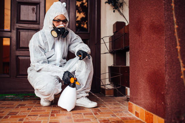 Reliable Termite Control contractor in Dovesville, SC by Nex Pest Control